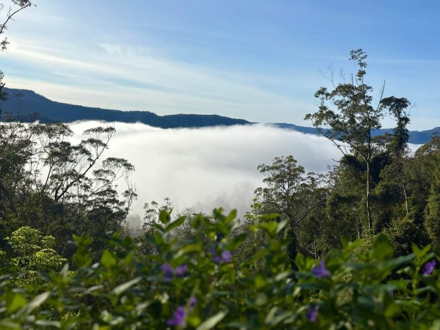 Our happy place @drp_dustyrosephotography captured it so beautifully ❤️