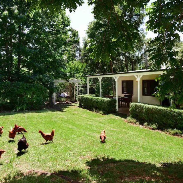 We’ve had a rare opening come up at Crystal Creek Cottage for the upcoming holidays. Trade the sirens for birdsong and the concrete for our lush valley.Slow mornings, and beautiful days✨ Dates available: 5th - 9th April & 12th - 18th April
🔗 Book your escape via their website @crystalcreekmeadows#CrystalCreekCottage #KangarooValley #EasterEscape #SouthCoastNSW #SlowLiving