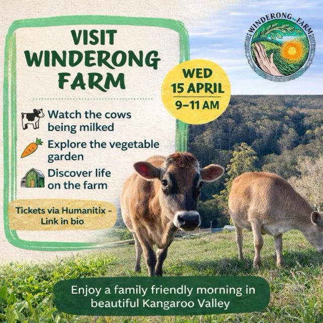 Come visit Winderong Farm in the Easter holidays!Wednesday 15th of April, 9-11amDrinks provided
BYO lunchTickets available through the link in our bio!