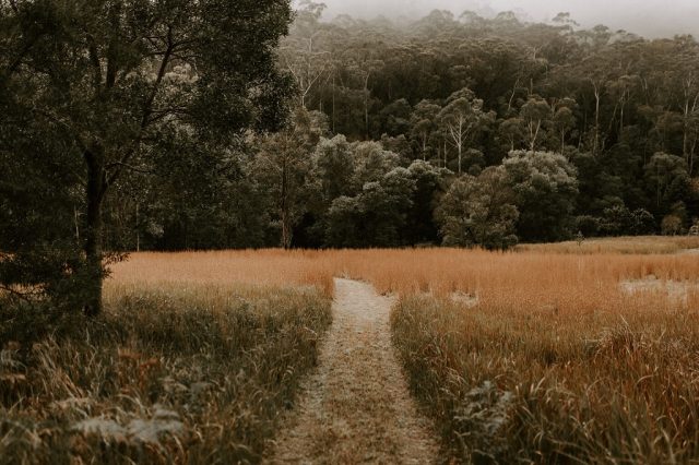 Looking to actually switch off and escape the city? Meet Aframe Kangaroo Valley - hands down one of the most sought-after stays down our way, and for good reason.Tucked away just two hours from Sydney, this adults-only cabin was built from the ground up for slow living. It’s packed with thoughtful, sustainable design elements—from recycled telegraph pole beams and 150-year-old terracotta tiles, to the incredibly cosy textiles that make you feel right at home.Spend your weekend exploring the private creek, sinking into the wood-fired hot tub under the stars, or just parking up by the fire with a decent glass of red.
It’s the perfect spot to genuinely reset. Bookings fill up well in advance , so you’ll want to get in early.
Tap the link in our bio to check their calendar and lock in a stay. 📷 @hayleyrafton#KangarooValley #SouthCoastNSW #AFrameCabin #SlowLiving #Pampa #WeekendGetaway #OffGridLiving #CabinPorn @visitshoalhaven @visitnsw